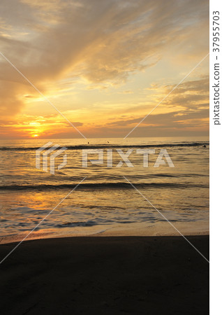 Morning glow of Qingdao Morning glow of Qingdao 37955703