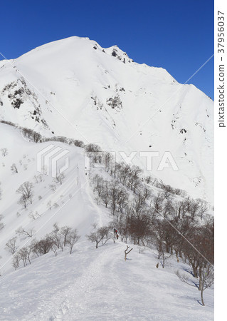 View Tanigawadake from Tenjin-one in winter View Tanigawadake from Tenjin-one in winter 37956037