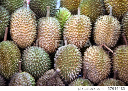 ASIA SINGAPORE LITTLE INDIA FRUITMARKET 37956483