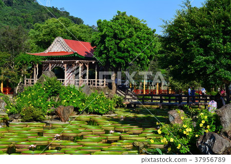 至善公園 至善公園 37956789