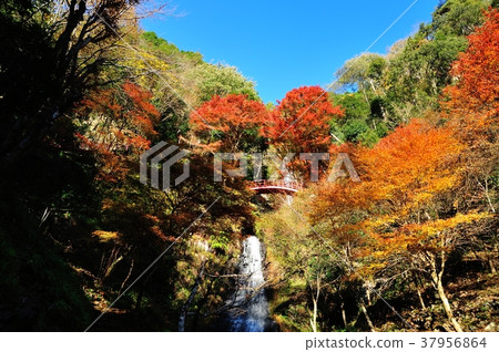 Gojotaki Park Gojotaki Park 37956864