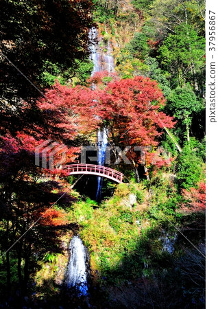 Gojotaki Park Gojotaki Park 37956867