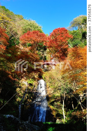 Gojotaki Park Gojotaki Park 37956876