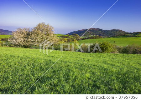Mountainous country Czech Republic Mountainous country Czech Republic 37957056