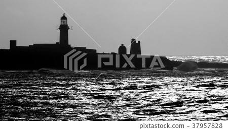 Landscape shot of scottish highlands Landscape shot of scottish highlands 37957828