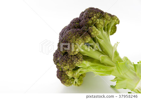 Purple cauliflower Purple cauliflower 37958246