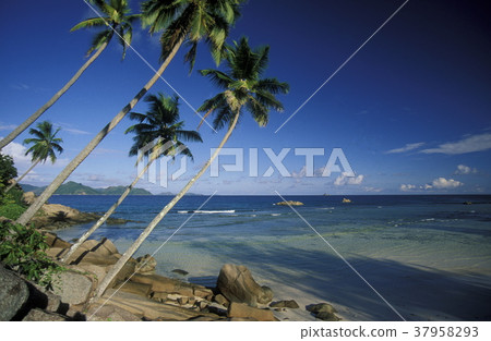 INDIAN OCEAN SEYCHELLES PRASLIN BEACH INDIAN OCEAN SEYCHELLES PRASLIN BEACH 37958293