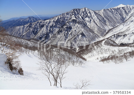 Looking at Anogawadake and Miwayama areas from Tenjin in winter Looking at Anogawadake and Miwayama areas from Tenjin in winter 37958334