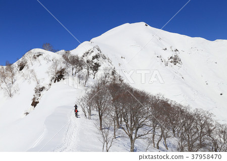 冬天從天神山脊看Tanigawadake的方向 冬天從天神山脊看Tanigawadake的方向 37958470