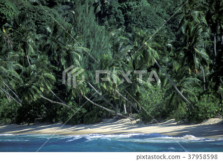 INDIAN OCEAN SEYCHELLES LA DIGUE COCONUT INDIAN OCEAN SEYCHELLES LA DIGUE COCONUT 37958598