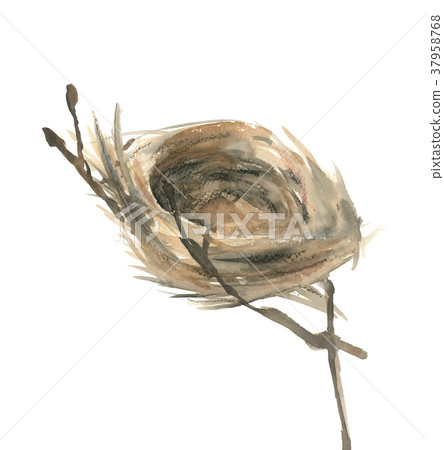 bird's Nest 37958768