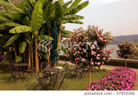 EUROPE ITALY LAGO MAGGIORE EUROPE ITALY LAGO MAGGIORE 37959366