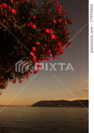 EUROPE ITALY LAGO MAGGIORE 37959408