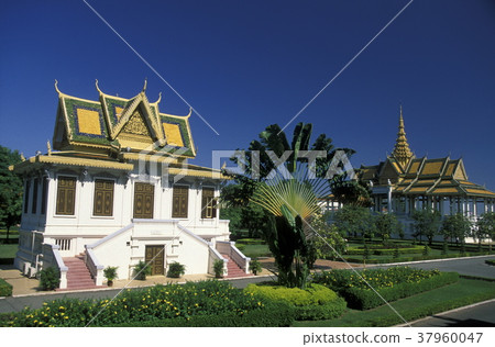 CAMBODIA PHNOM PENH 37960047
