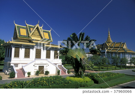 CAMBODIA PHNOM PENH 37960066