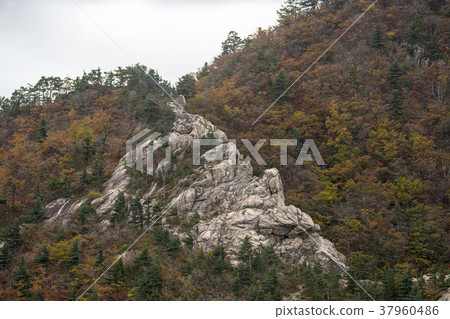 Soraksan，Sokcho，江原道 37960486