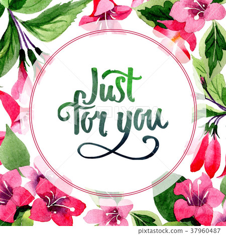 Wildflower weigela flower frame in a watercolor 37960487