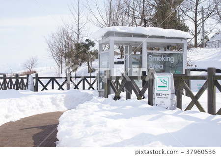 Smoking section 37960536