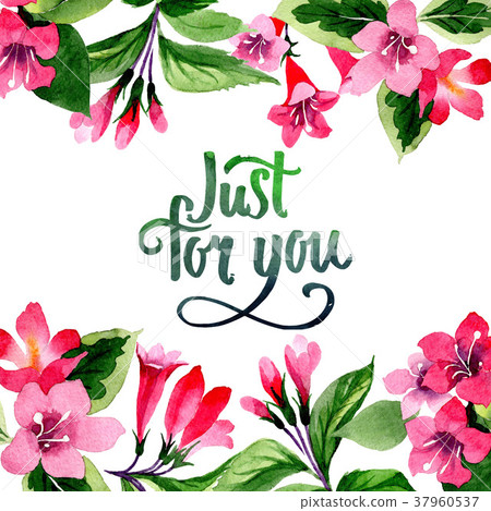 Wildflower weigela flower frame in a watercolor 37960537