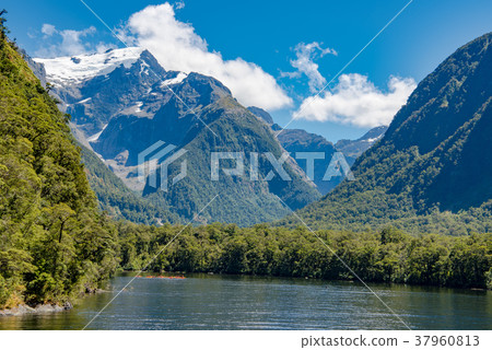 Milford Sound Tour Cruise Milford Sound Tour Cruise 37960813