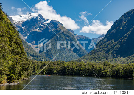 米爾福德峽灣巡遊 米爾福德峽灣巡遊 37960814