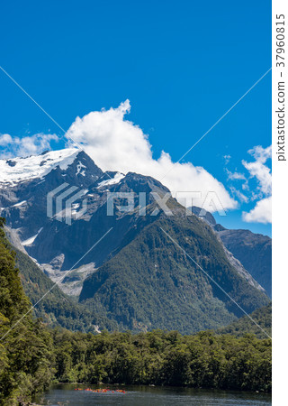 米爾福德峽灣巡遊 37960815