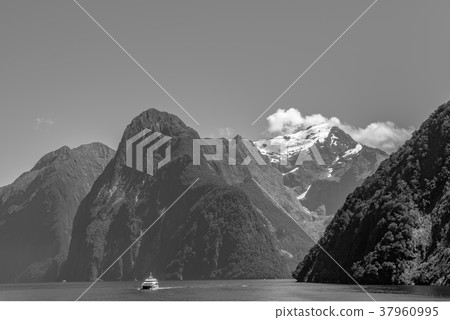 [Monochrome] Milford Sound 37960995