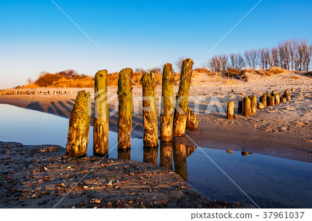 Baltic Sea coast in the evening in Kuehlungsborn Baltic Sea coast in the evening in Kuehlungsborn 37961037
