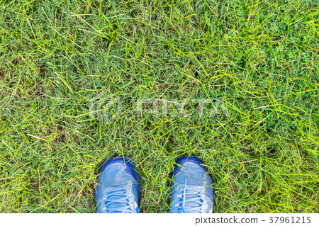 feet on the grass field feet on the grass field 37961215