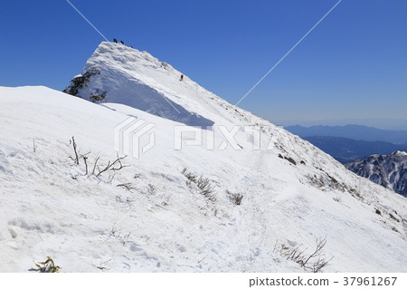 Look at Tomano ear from near Tanigawadake peak (Okino ear) in winter 37961267