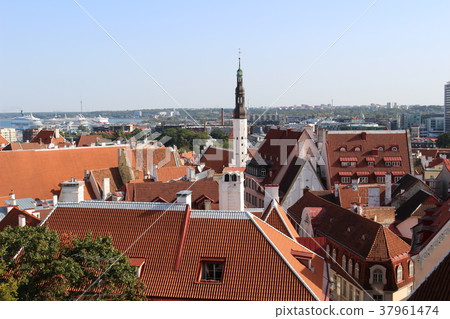 Tallinn Old Town Landscape World Heritage Estonia Europe Baltic 3 countries 37961474