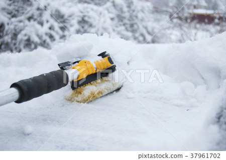 Cleaning the hood of the car from snow Cleaning the hood of the car from snow 37961702