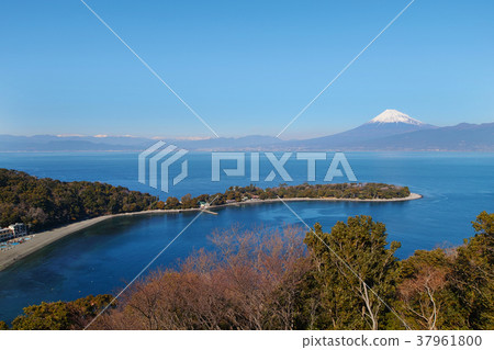 [靜岡縣/旅遊景點]大崎和富士山 37961800