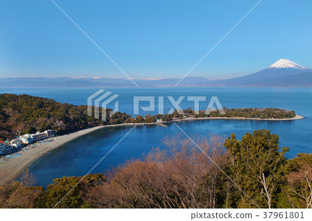 [靜岡縣/旅遊景點]大崎和富士山 37961801