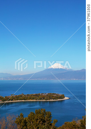 [Shizuoka Prefecture/Tourist Attractions] Osezaki and Mt. Fuji (copy space) 37961808