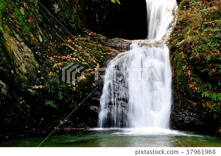 Yokotani gorge Futami waterfall Yokotani gorge Futami waterfall 37961968