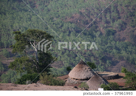 ASIA EAST TIMOR TIMOR LESTE MOUBISSE LANDSCAPE 37961993