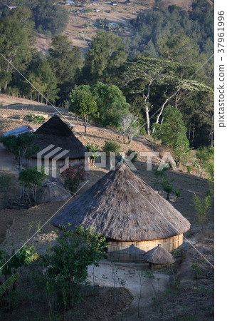 ASIA EAST TIMOR TIMOR LESTE MOUBISSE LANDSCAPE ASIA EAST TIMOR TIMOR LESTE MOUBISSE LANDSCAPE 37961996