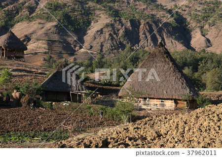 ASIA EAST TIMOR TIMOR LESTE MOUBISSE LANDSCAPE ASIA EAST TIMOR TIMOR LESTE MOUBISSE LANDSCAPE 37962011