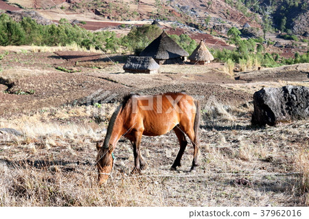 ASIA EAST TIMOR TIMOR LESTE MOUBISSE LANDSCAPE ASIA EAST TIMOR TIMOR LESTE MOUBISSE LANDSCAPE 37962016