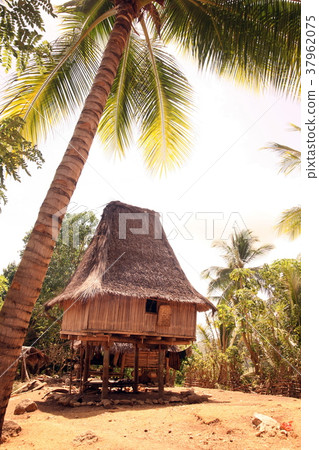 ASIA EAST TIMOR TIMOR LESTE LOSPALOS HOUSE 37962075