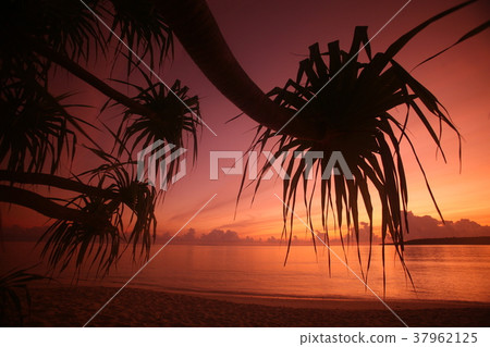 ASIA EAST TIMOR TIMOR LESTE JACO ISLAND ASIA EAST TIMOR TIMOR LESTE JACO ISLAND 37962125