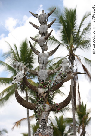 ASIA EAST TIMOR TIMOR LESTE RACA GRAVEYARD ASIA EAST TIMOR TIMOR LESTE RACA GRAVEYARD 37962149