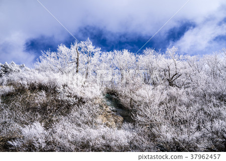 Seolak Mountain, Yangyang-gun, Gangwon-do Seolak Mountain, Yangyang-gun, Gangwon-do 37962457
