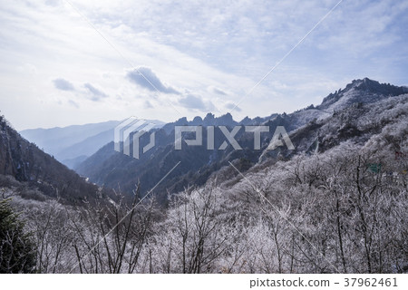江原道襄陽郡Seolak山 江原道襄陽郡Seolak山 37962461