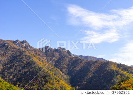 Sulgol，Mt. Seorak，襄陽郡，江原道 37962501