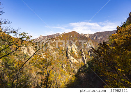 Sulgol, Mt. Seorak, Yangyang-gun, Gangwon-do Sulgol, Mt. Seorak, Yangyang-gun, Gangwon-do 37962521