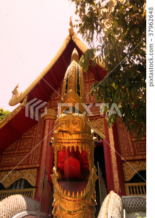 ASIA THAILAND CHIANG RAI 37962648