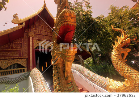 ASIA THAILAND CHIANG RAI 37962652