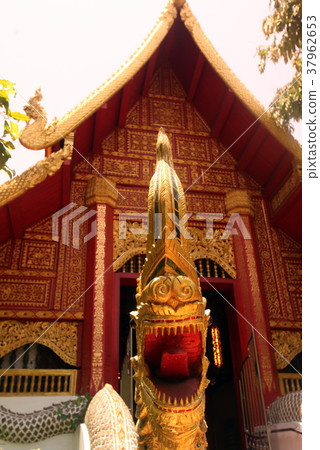 ASIA THAILAND CHIANG RAI 37962653